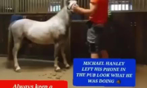 Michael Hanley horsevideo orange shirt mounting Viral video leaked...